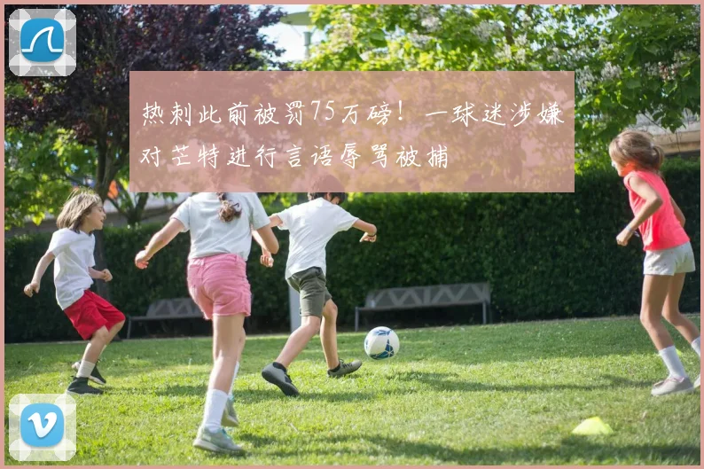 热刺此前被罚75万磅！一球迷涉嫌对芒特进行言语辱骂被捕